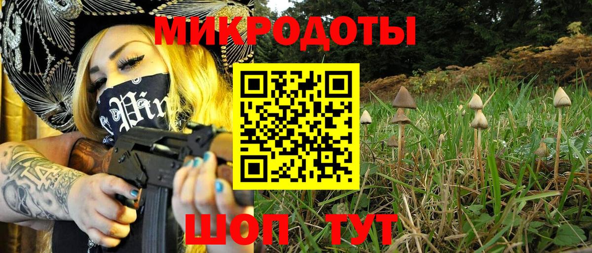 Галлюциногенные грибы мухоморы Камень-на-Оби